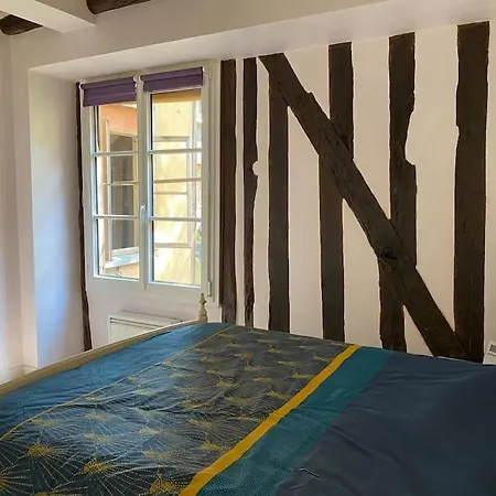 Charmant Appartement - Centre Cite Plantagenet!!! Le Mans Buitenkant foto