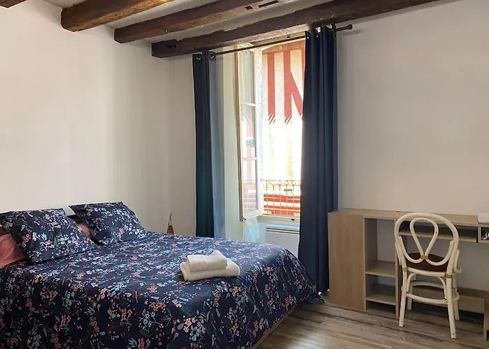 Charmant Appartement - Centre Cite Plantagenet!!!